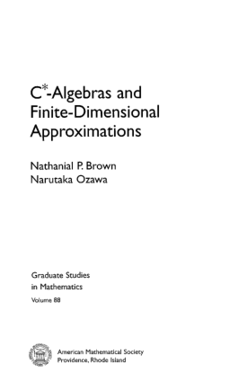 C* Algebras and Finite Dimensional Approximations – FreePdf-Books.com