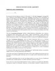 Basic Personal Confidentiality Non-Disclosure Agreement Template