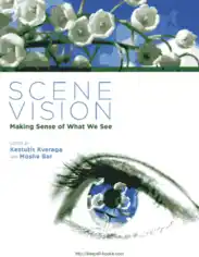 Scene Vision- Making Sense of What We See