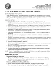 Assistant Chief Operating Engineer Job Description Template