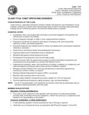 Chief Operating Engineer Job Description Template
