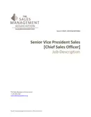 Senior Vice President Sales Officer Job Description Template