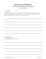 Blank Strategic Sales and Marketing Plan Template