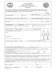 Employee Accident Statement Form Template
