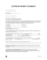 Donation Letter of Intent Sample Letter Template
