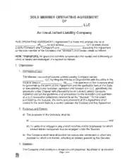 Iowa Single Member LLC Operating Agreement(1) Form Template