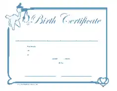 Birth Certificate Sample Application Template