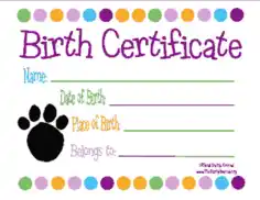 Birth Certificate Simple Template