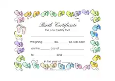 Free Download PDF Books, Blank Birth Certificate Template