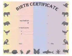 Pet Birth Certificate Template