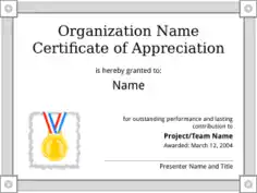 Organization Certificate of Appreciation Template