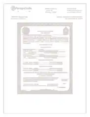 United Mexican State Marriage Certificate Template