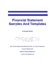 Financial Statement Samples and Template