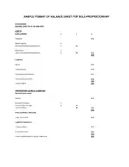 Sample Format of Balance Sheet for Sole Proprietorship Template