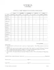 Payroll Timesheet for Employees Template