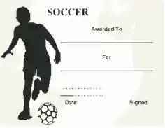 Football Fan Certificate Sample Template