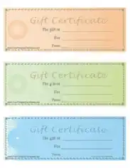 Gift Certificate Examples Template