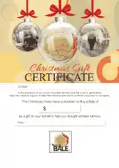 Printable Christmas Gift Certificate Template