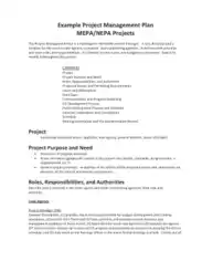 Project Management Work Template