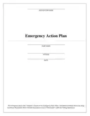 Emergency Action Plan Checklist Template