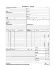 Draft Commerical Invoice Template