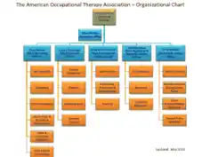 Aota Employee Staff Organizational Chart Template