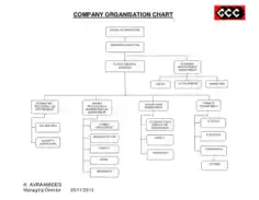 Free Download PDF Books, Company Organizational Chart Template