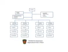 Fire Department Organizational Chart Format Template