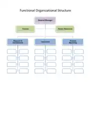 Functional Organizational Structure Chart Template