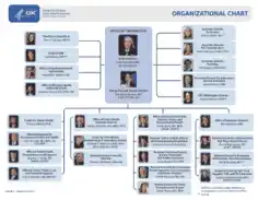 Free Download PDF Books, Office Organizational Chart Examples Template