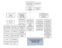 Simple Human Resources Organizational Chart Template