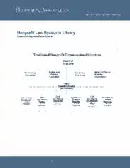 Free Download PDF Books, Traditional Non Profit Organisation Structure Template