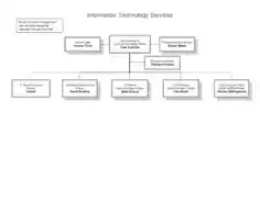 Free Download PDF Books, Information Technology Services Template