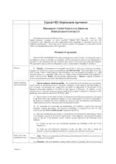 Typical CEO Employment Agreement Template