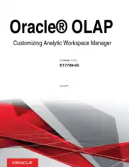 Oracle Olap Customizing Analytic Workspace Manager