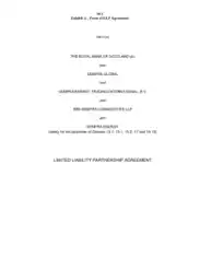 Form of Limited Liability Partnership Agreement Template