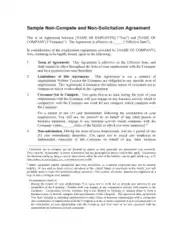 Sample Non Compete and Non Solicitation Agreement Template