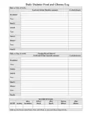 Free Download PDF Books, Daily Diabetes Food and Glucose Log Template