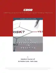 Business Risk Assessment in Practice Template
