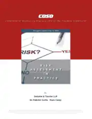 Sample Risk Assessment Report Template