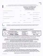 Dmv Transfer and Release Form Template