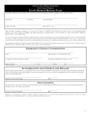 Free Download PDF Books, Youth Medical Release Form Pdf Template