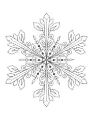 Snowflake Detailed 10 Coloring Template