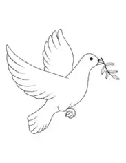 Christian Dove Bible Coloring Template