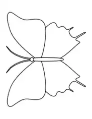 Butterfly Outline 12 Coloring Template