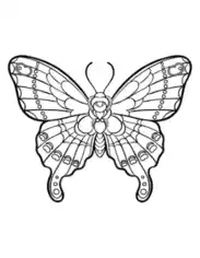 Free Download PDF Books, Butterfly Sylized Intricate Design Coloring Template