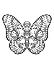 Free Download PDF Books, Butterfly Sylized Patterned Wings Feather Antennae Coloring Template