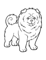 Chow Chow Curled Tail Outline Dog Coloring Template