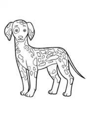 Dalmatian Outline Dog Coloring Template