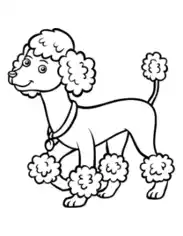 Poodle Outline Dog Coloring Template